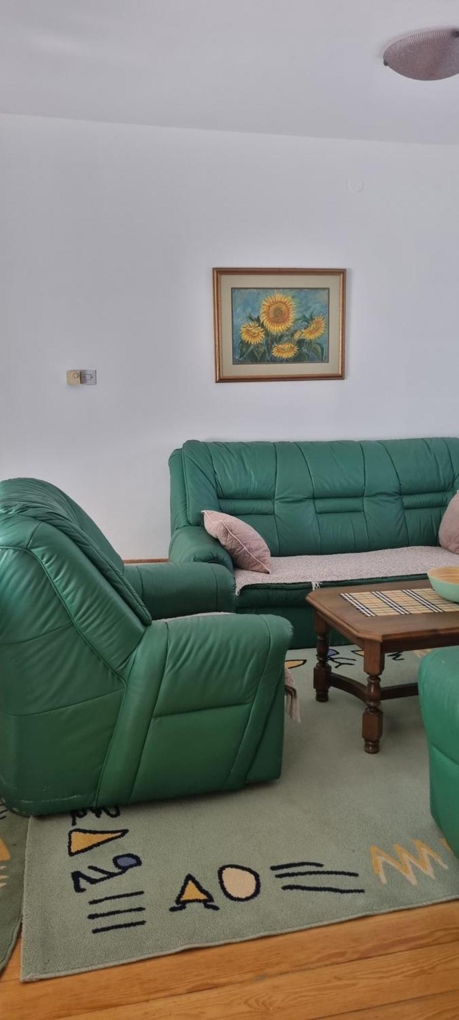 Kraljevi Konaci Olja Apartment Zlatibor Exterior photo